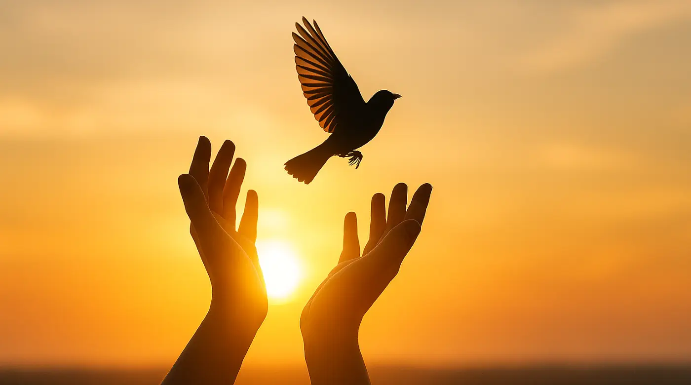 Hands releasing a bird into the golden sunset sky, symbolizing freedom and emotional healing"