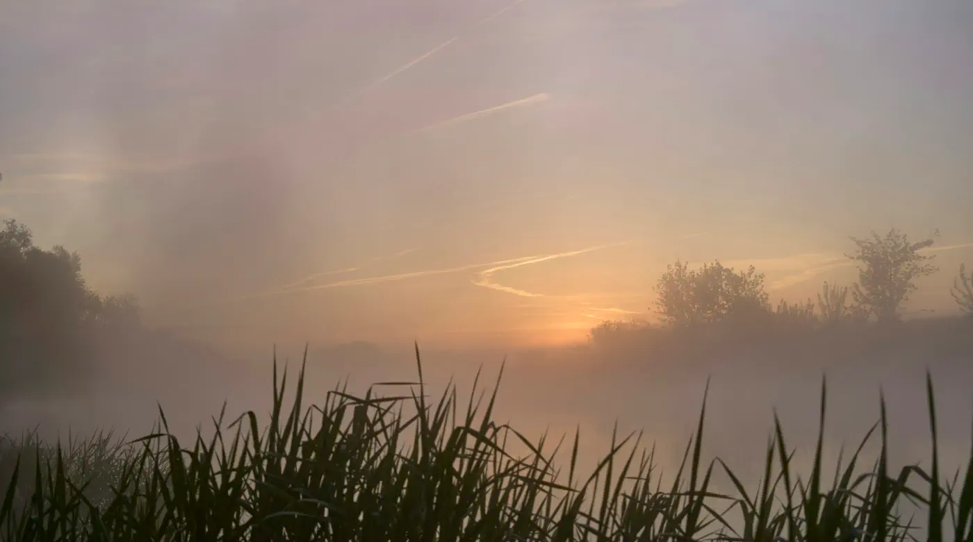 Misty sunrise over a calm lake symbolizing emotions that are present but not yet fully felt