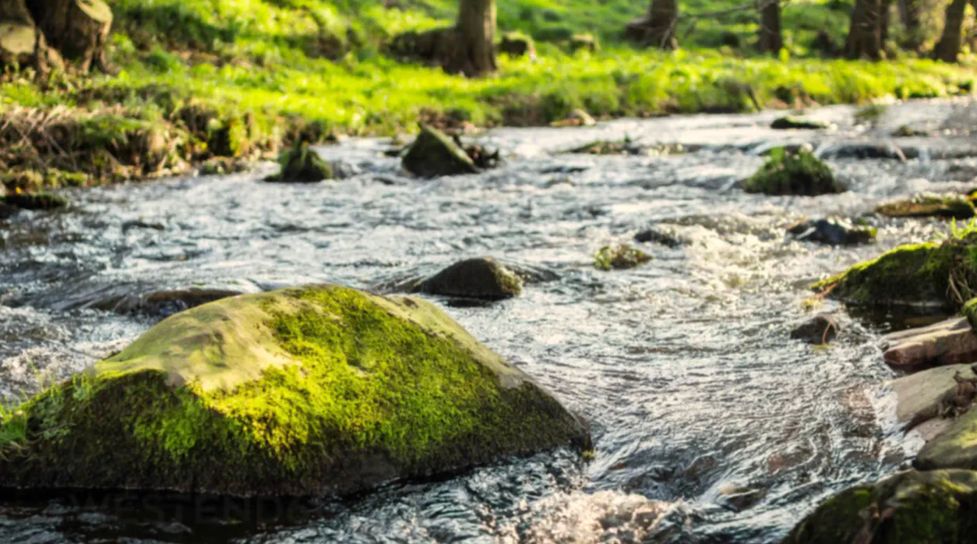 Calm river flowing around moss-covered rocks symbolizing emotional pressure and release