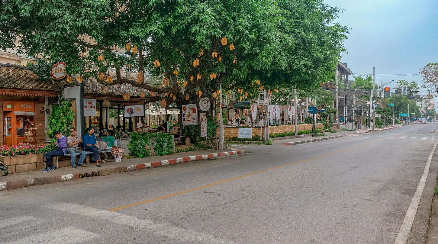 Street view of Chiang Mai with cafes, shops, and people sitting under a tree, showcasing the local community atmosphere
