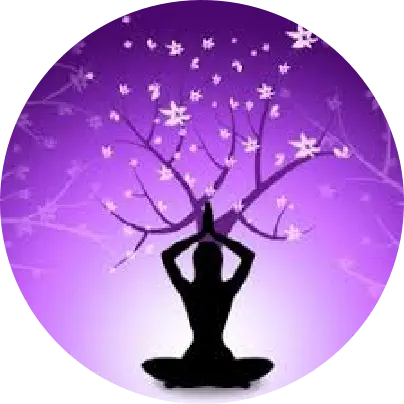 Meditation silhouette under a blossoming tree — client testimonial for holistic healing in Chiang Mai